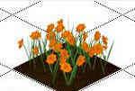 Цветы для сада - размер 288 КБ. Для скачивания кликнуть на изображене объекта