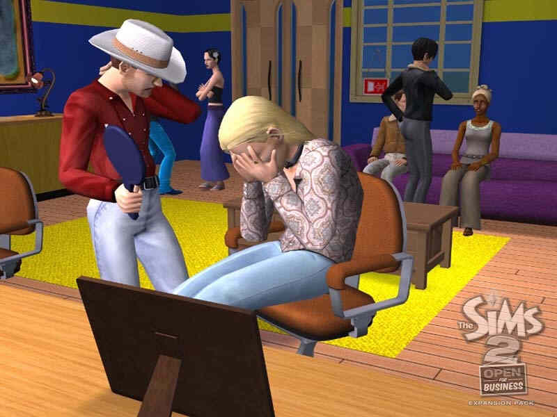 Sims 2 Cheats Open For Business Codes