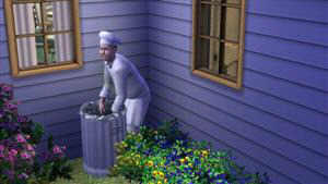 The Sims 3