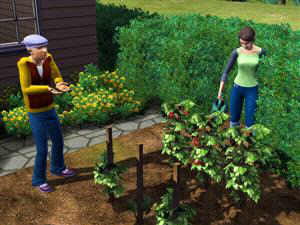 The Sims 3